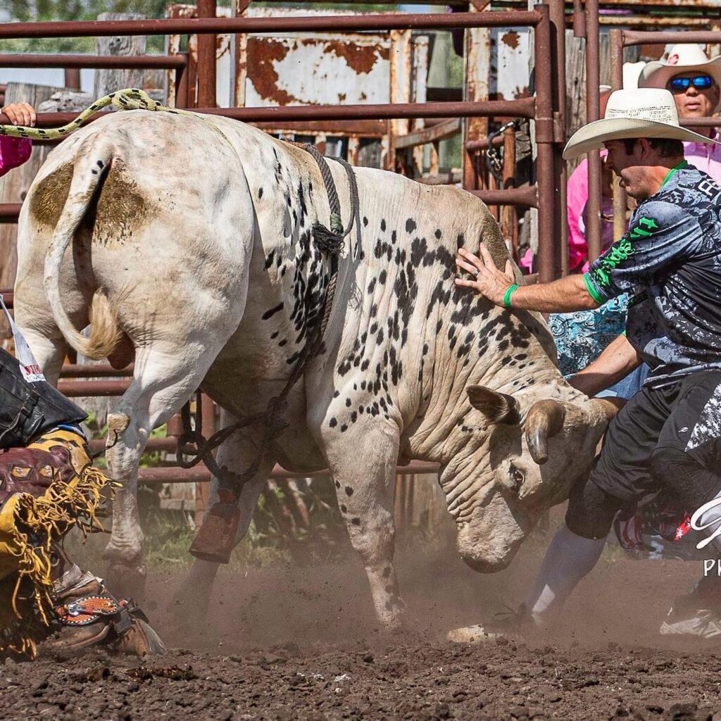 Austin Ashburn bullfighter