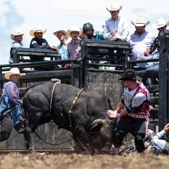 Austin Tilton PRCA Bullfighter