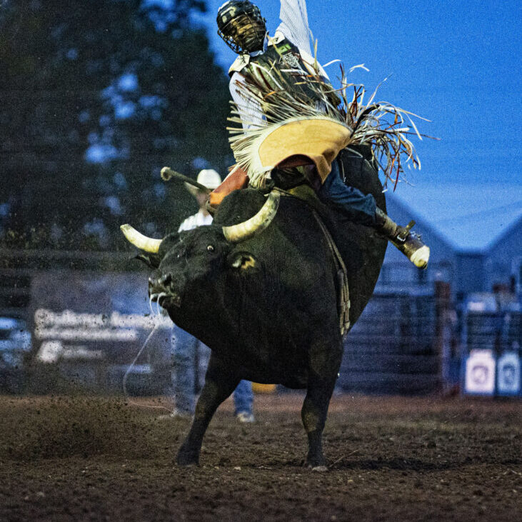 Former Hawley Rodeo Bull Riding Champion, Reid Oftedahl on Barnes' bull Boogieman. Photo by Beth Kujala